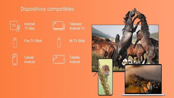 magis tv apk mac