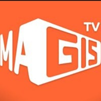 cómo configurar subtítulos y audio en magis tv